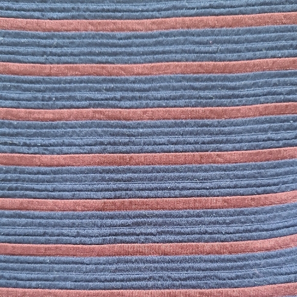 Anthro Maeve 'Brenna' Blue and Red Striped Ponte Skater Dress - Size 2 - Picture 4 of 8